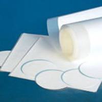 PALL转印迹膜（硝酸纤维素材质）0.2um 30cm*3m