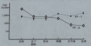 图片预览