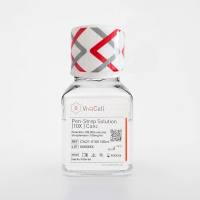 青链双抗（青霉素-链霉素）10X浓缩