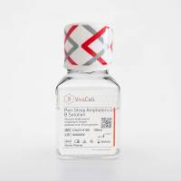 青链霉素，两性霉素B三抗