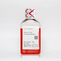无血清细胞冻存液