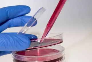 细胞培养具体操作步骤