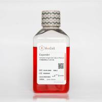 Expander 单细胞增殖完全培养基