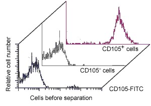 CD105 MicroBeads, human