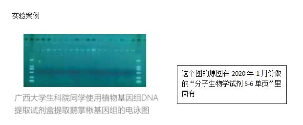 古朵生物DNA提取试剂盒
