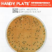 HandyPlate®克罗诺杆菌测试片