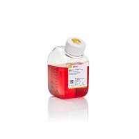 Invitrogen 10565-018 DMEM F-12，GlutaMAX? 添加剂500ml/瓶