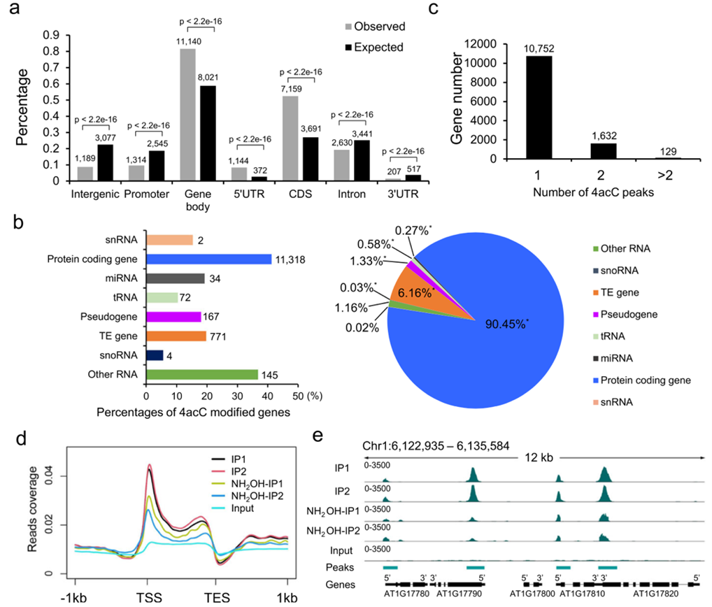 发现DNA上4acC！以及推荐一个DNA修饰检测的优秀方法！