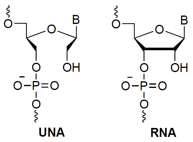 开环：提高稳定性降低脱靶的 UNA 核酸修饰
