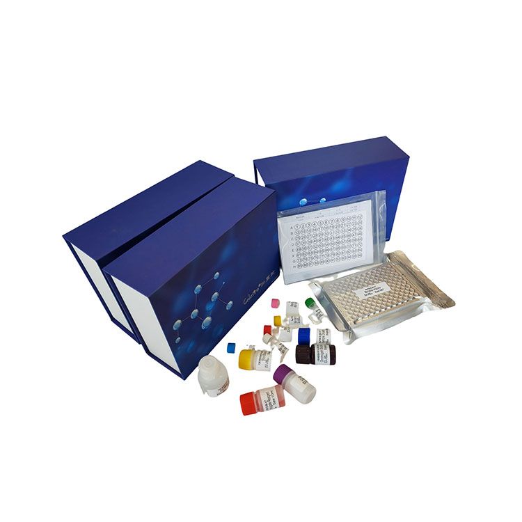 尿酸检测试剂盒 | UA含量测试盒_微量法