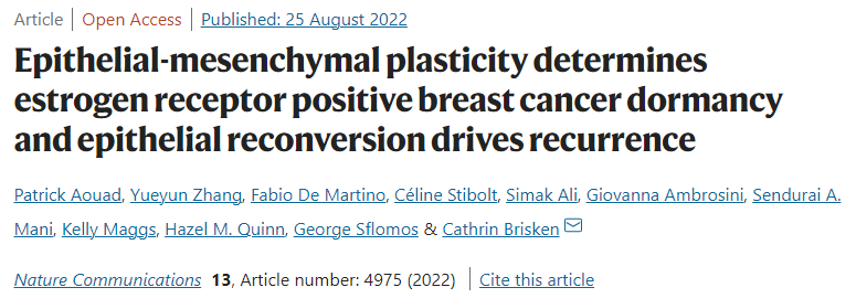 科研赋能丨瑞士实验癌症研究所发现雌激素受体阳性乳腺癌的潜在复发防治策略