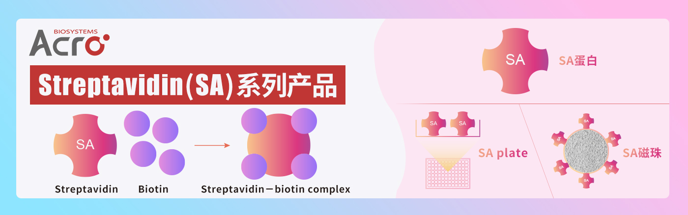 Streptavidin全系列产品：蛋白、包被板、磁珠应有尽有