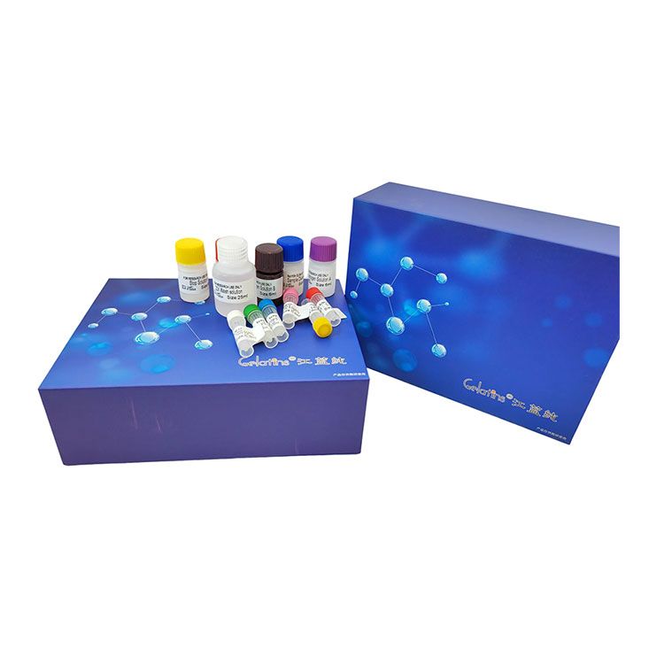 线粒体柠檬酸检测试剂盒 | MCA含量测试盒_微量法
