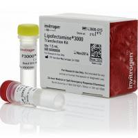 LIFE L3000-015 Lipofectamine 3000，1.5ml