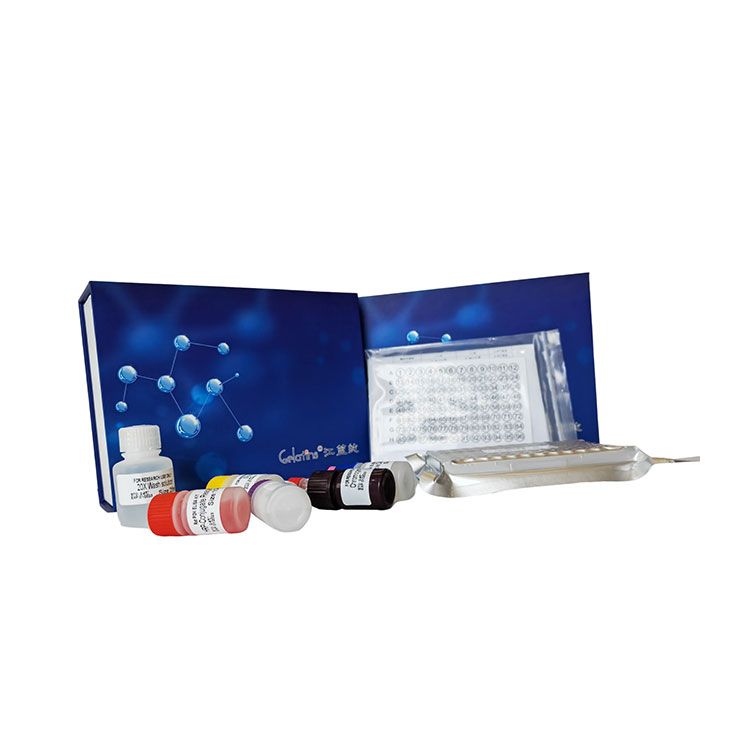 胰蛋白酶活性检测试剂盒 | Trypsin含量测试盒_微量法