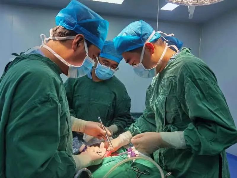 宁城县中心医院消化疾病诊疗中心普通外科团队成功完成一例复杂中央型肝癌切除手术