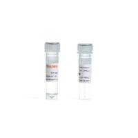 大肠杆菌表达重组肠激酶（不带标签）