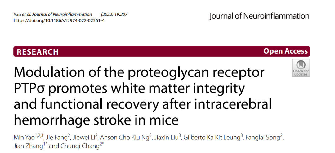 IF=9.59【客户文章】深大医学部常春起与张健团队发现出血性脑卒中后靶向蛋白多糖受体保护白质完整性并促进神经功能恢复