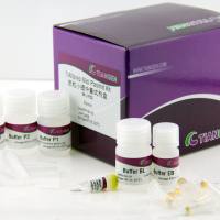 DP106-02天根质粒小提中量试剂盒(DP106),50次