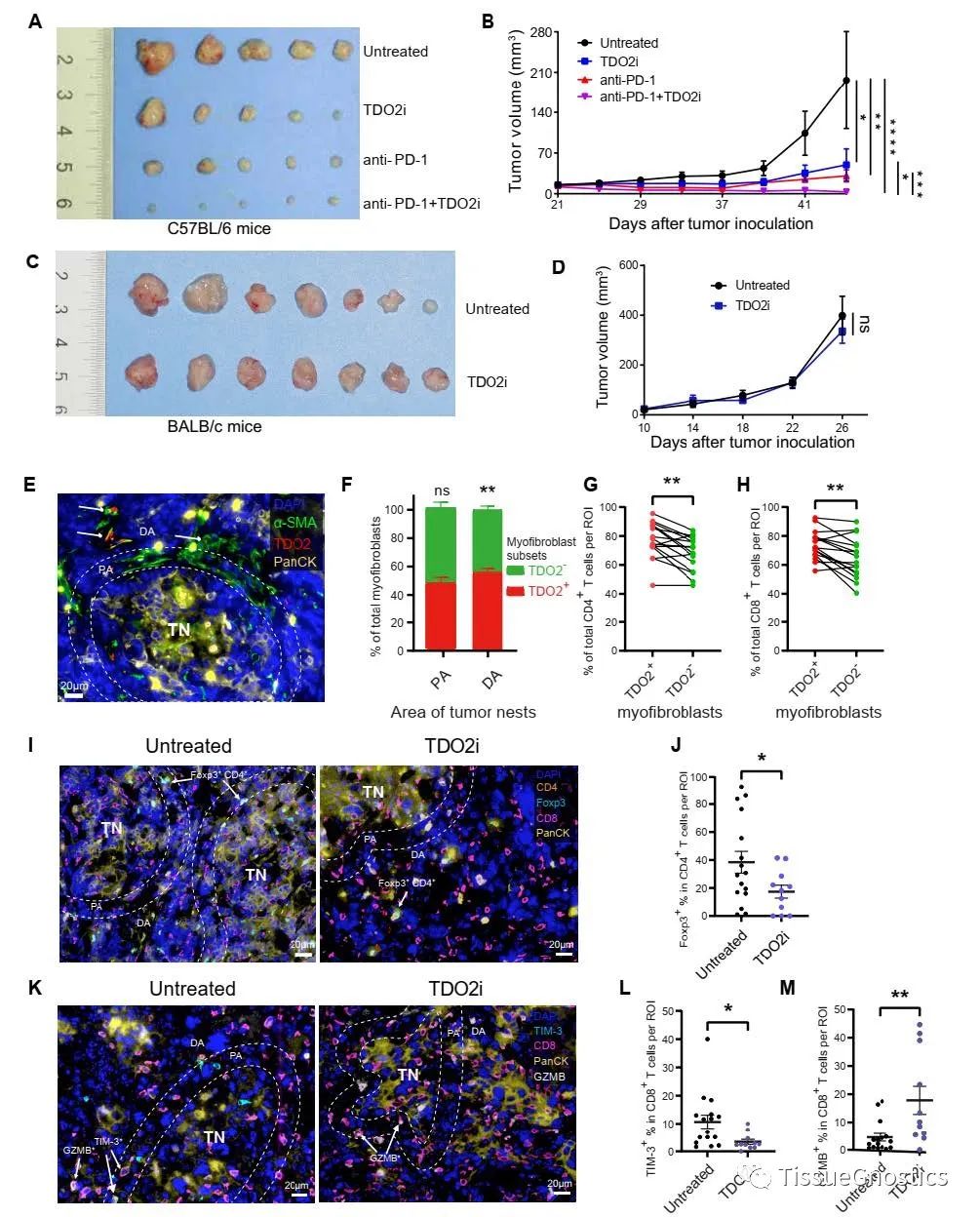 JCI | 中山大学北京大学联合揭示口腔肿瘤免疫逃逸机制和新的治疗靶点