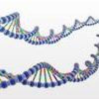 DP214-02天根Universal DNA 纯化回收试剂盒(DP214) 50次