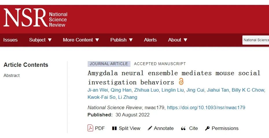IF=23.18【客户文章】NSR：暨南大学粤港澳中枢神经再生研究院张力课题组在社交行为的神经机制领域取得重要进展