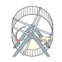 大鼠昼夜节律实验箱，大鼠昼夜活动实验箱