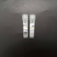 磷酸酶抑制剂Cocktail