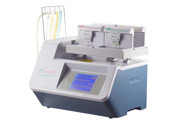 Q-BLOT 自动化蛋白免疫杂交系统——实现western blot实验自动化，解放您的双手！