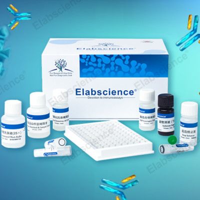 小鼠白介素6(IL-6)ELISA試劑盒