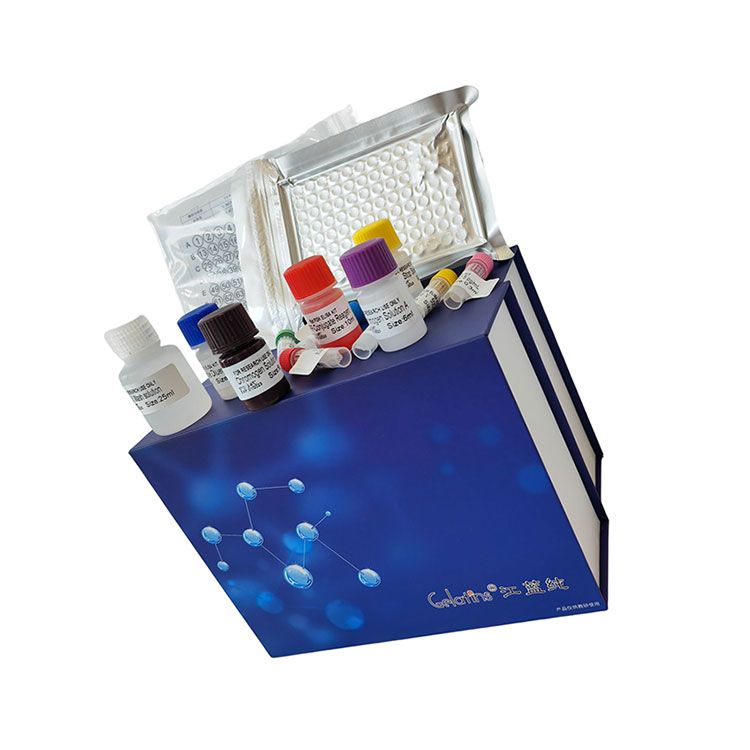 水样中六价铬离子(Cr6+)浓度检测试剂盒_江蓝纯生物供应(微量法)