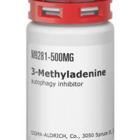 3-甲基腺嘌呤 100 mg/瓶