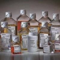 澳大利亚胎牛血清Australian FBS, 500mL SV30208.02