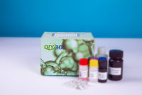 牛口蹄疫亚洲I型抗原(Asia 1 FMD-Ag)ELISA试剂盒