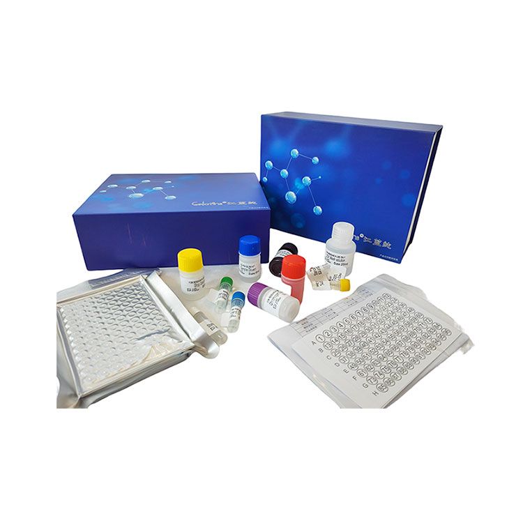 蛋白质羰基检测试剂盒_江蓝纯生物供应(微量法)