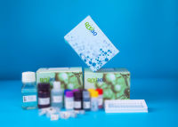 支链淀粉含量检测试剂盒(分光光度计法)