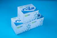 GC气相检测服务-齐一生物代测