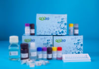 玉米素（ZA）含量检测试剂盒