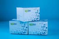 类胡萝卜素(carotenoid)含量检测试剂盒