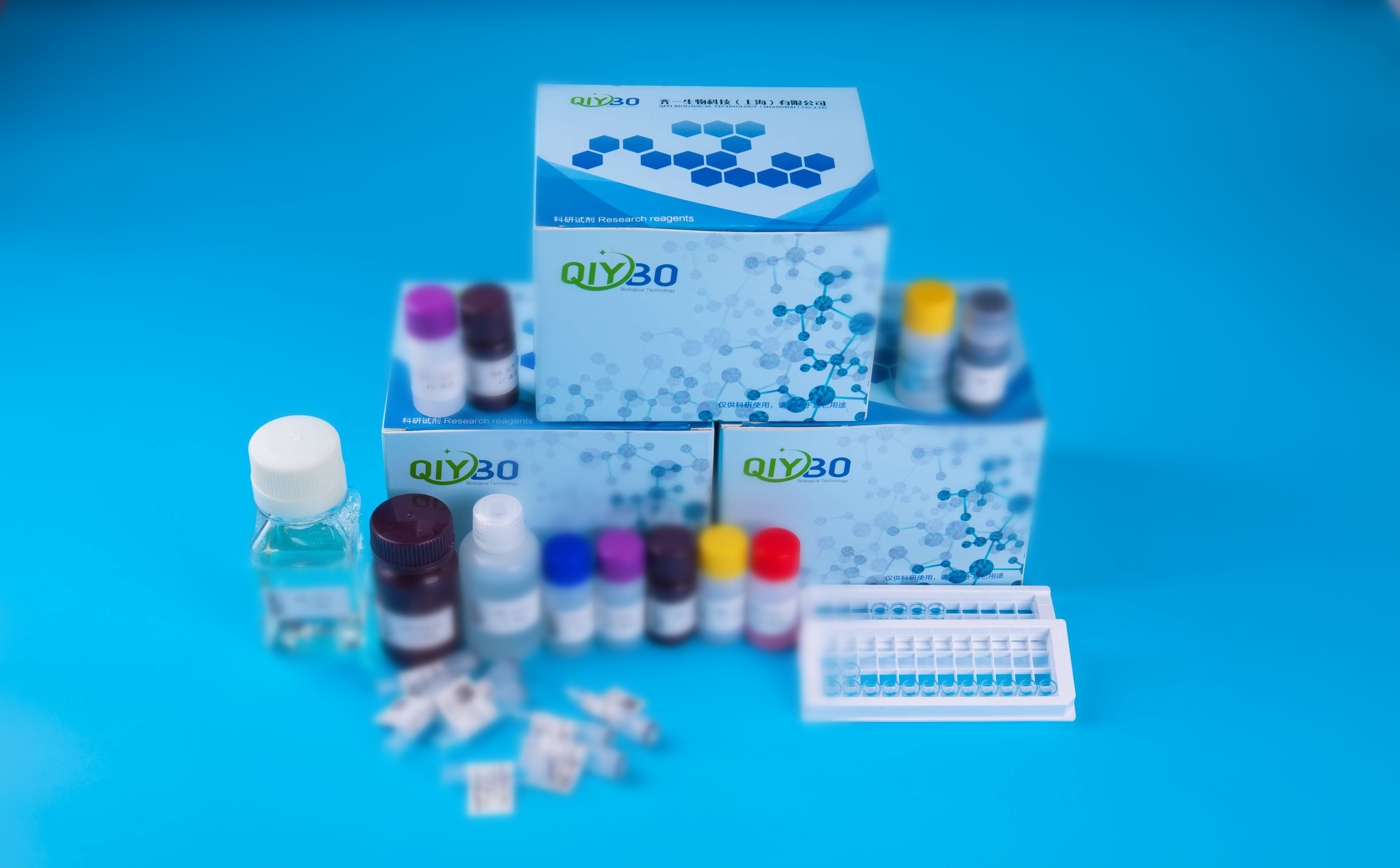 谷氨酸合成酶（GOGAT）检测试剂盒