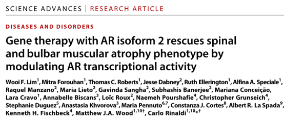 Science advances进展｜AR亚型2基因治疗通过抑制AR的转录活性改善脊髓延髓肌萎缩症