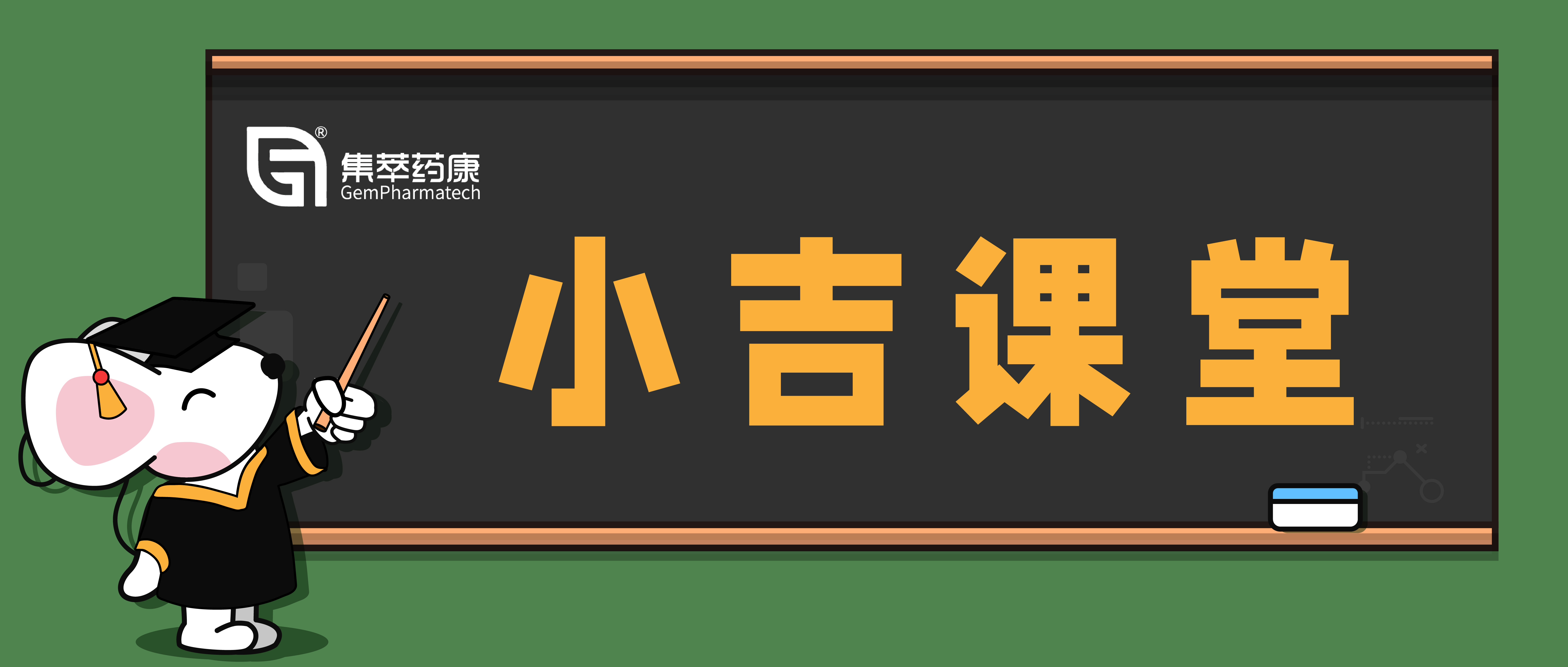 我的基因敲除小鼠模型为什么Western检测仍有蛋白条带？