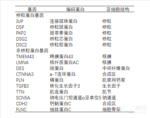 图片预览