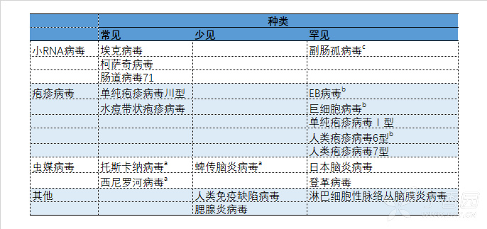 图片预览