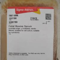 现货供应Sigma货号F8687澳洲胎牛血清13611631389上海睿安生物