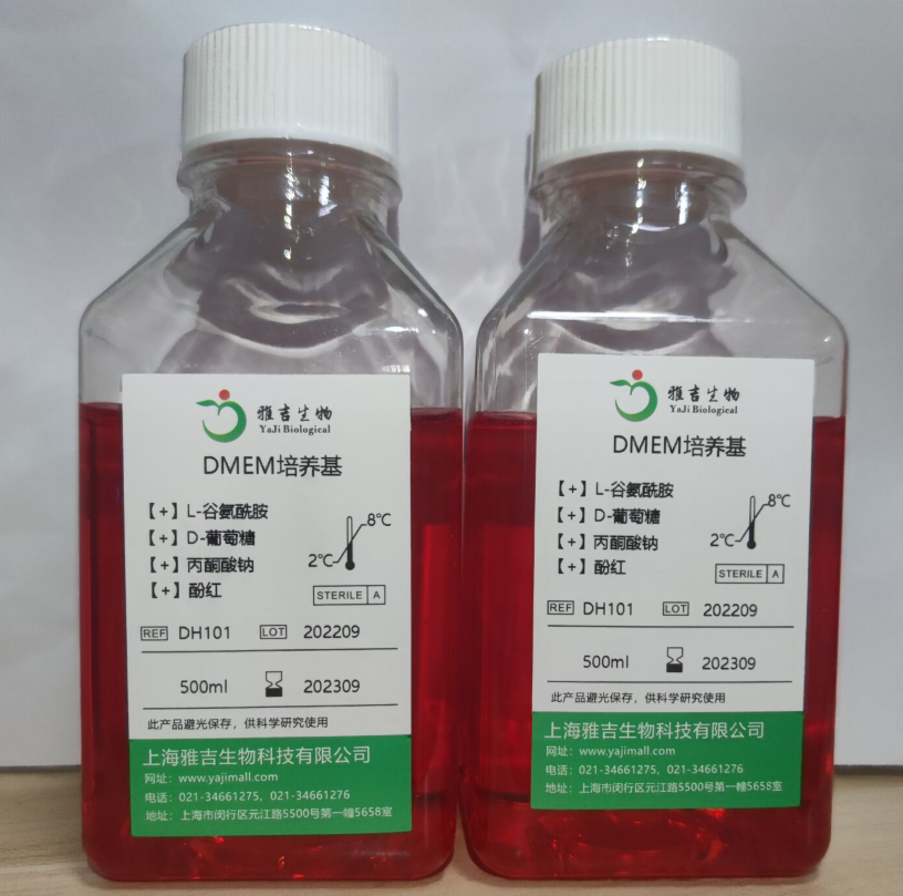 NCI-H2228[H2228人肺癌细胞价格_品牌:雅吉生物-丁香通官网