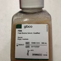 Gibco货号10099141C澳洲胎牛血清19121878899上海睿安生物