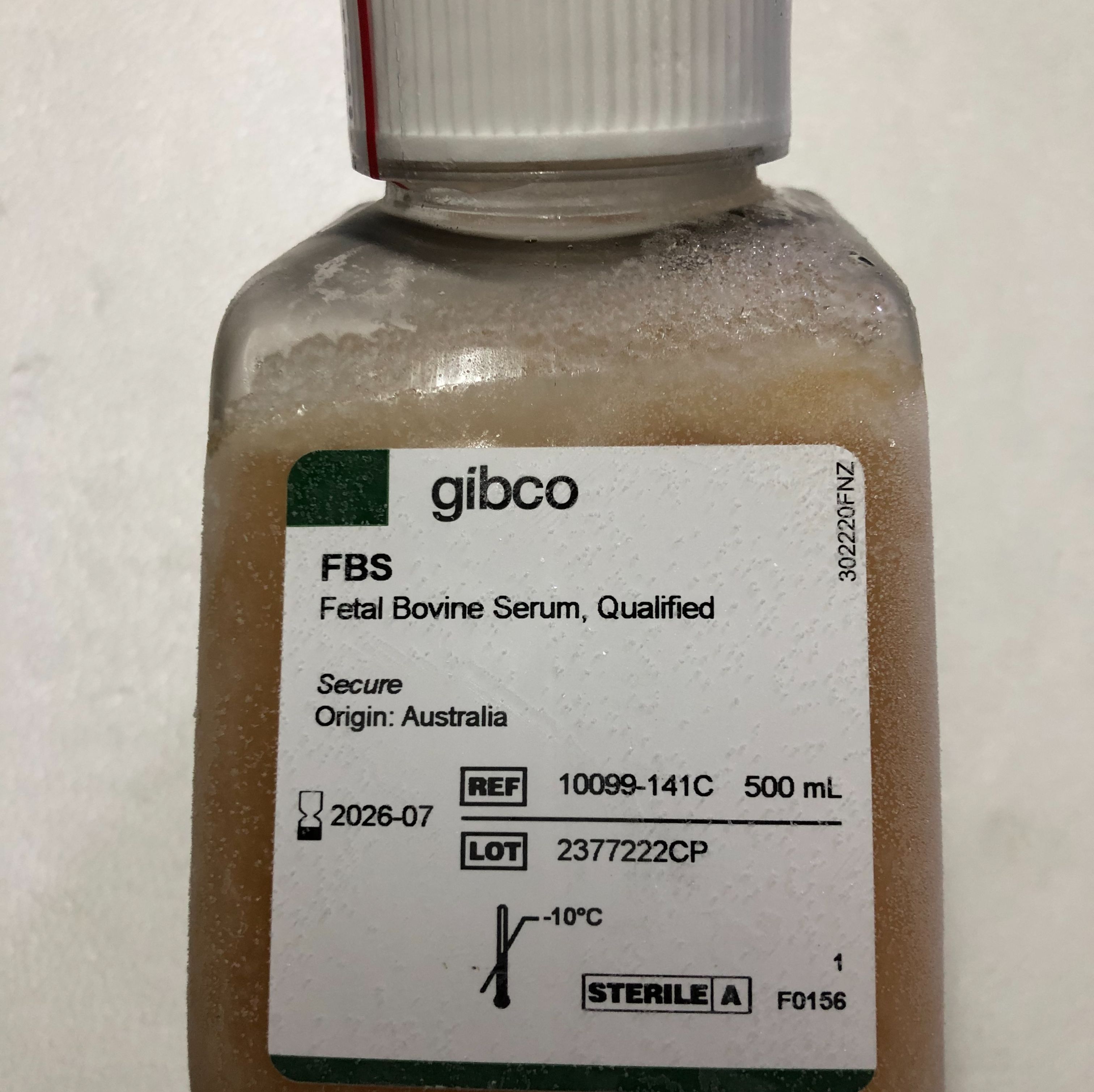 Gibco货号10099-141C澳洲胎牛血清13611631389上海睿安生物