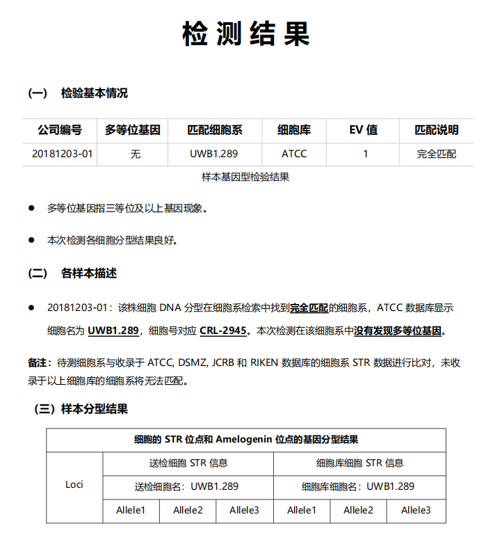 HuH-6瘤细胞人肝母细胞