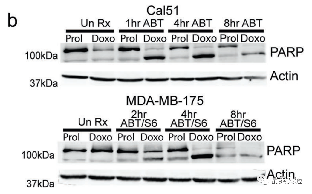 技术资料图片13